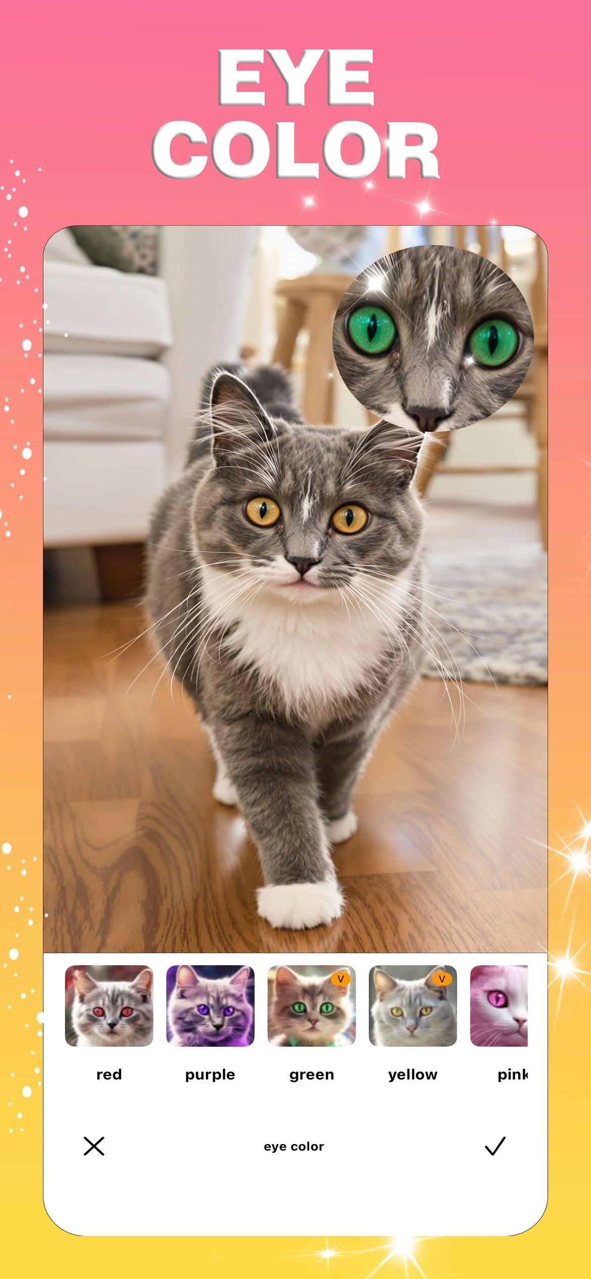 Catpic media 1