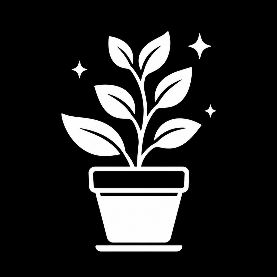 Blacony plants care recomedation 