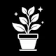 Blacony plants care recomedation