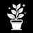 Balcony plants care recomedation