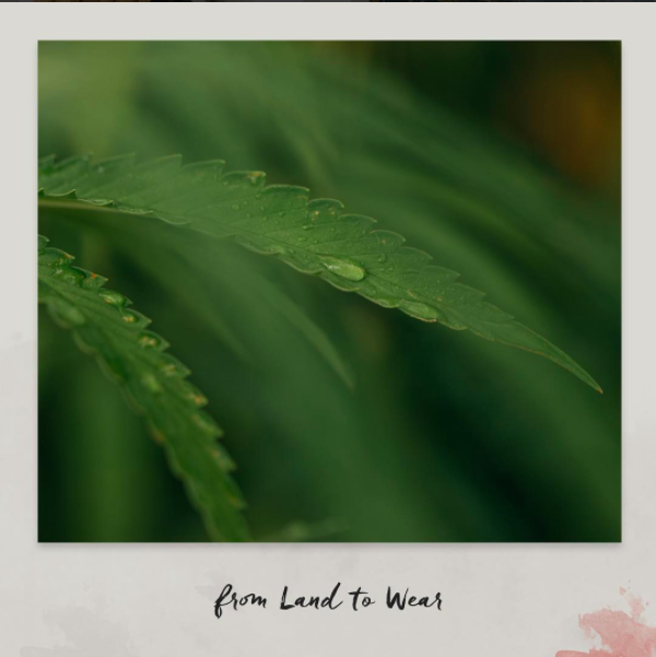 Luxurious Hemp Jacket (Kickstarter) gallery image