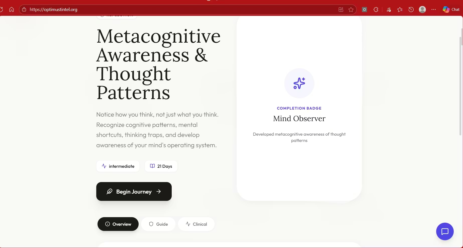 Optimust Mirror by Optimust Intelligence gallery image