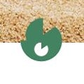 Product Pre-Launch Creator