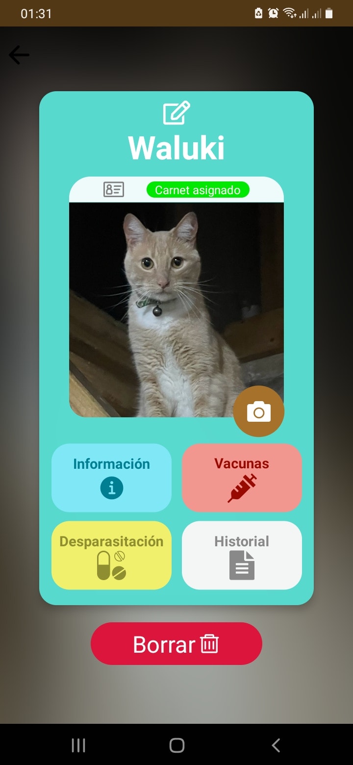 fichasvetapp media 2