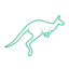 Networking Pilot