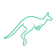 Networking Pilot