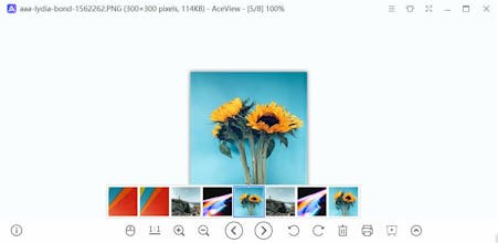 AceView gallery image