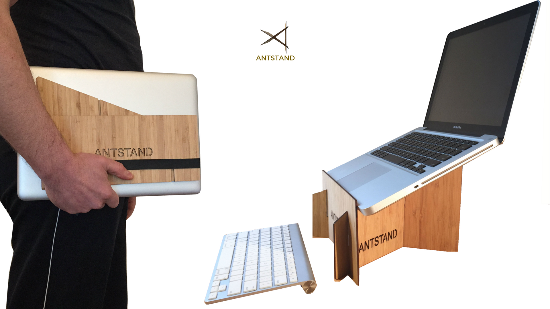 Antstand gallery image