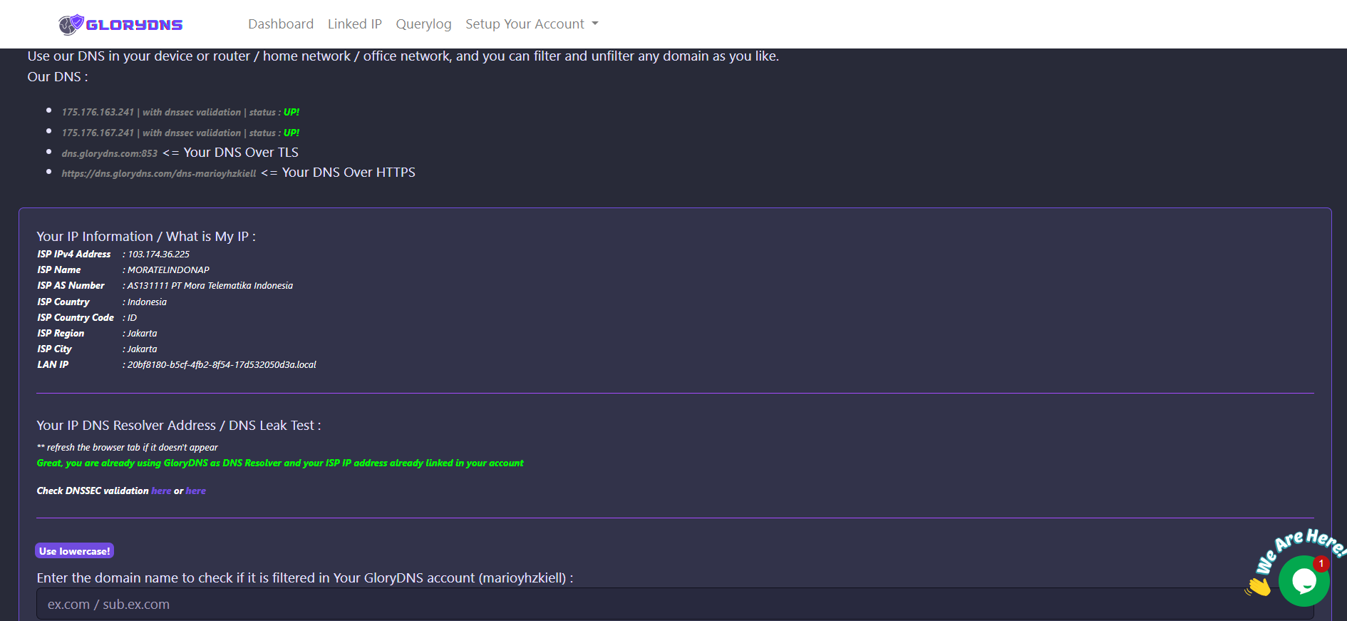 Glorydns v1.0 media 5