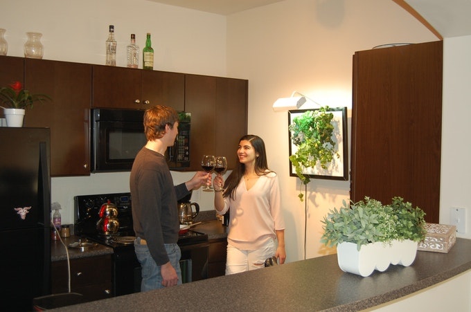 The Wall Garden gallery image