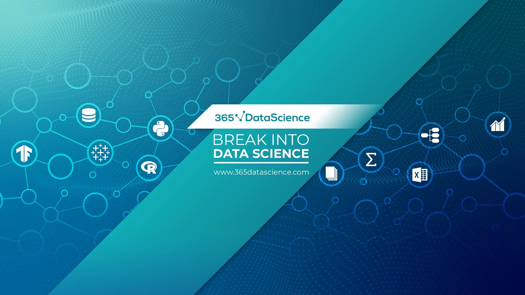 365 Data Science cover