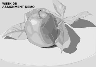 The Beginner Drawing Course 2nd Edition gallery image