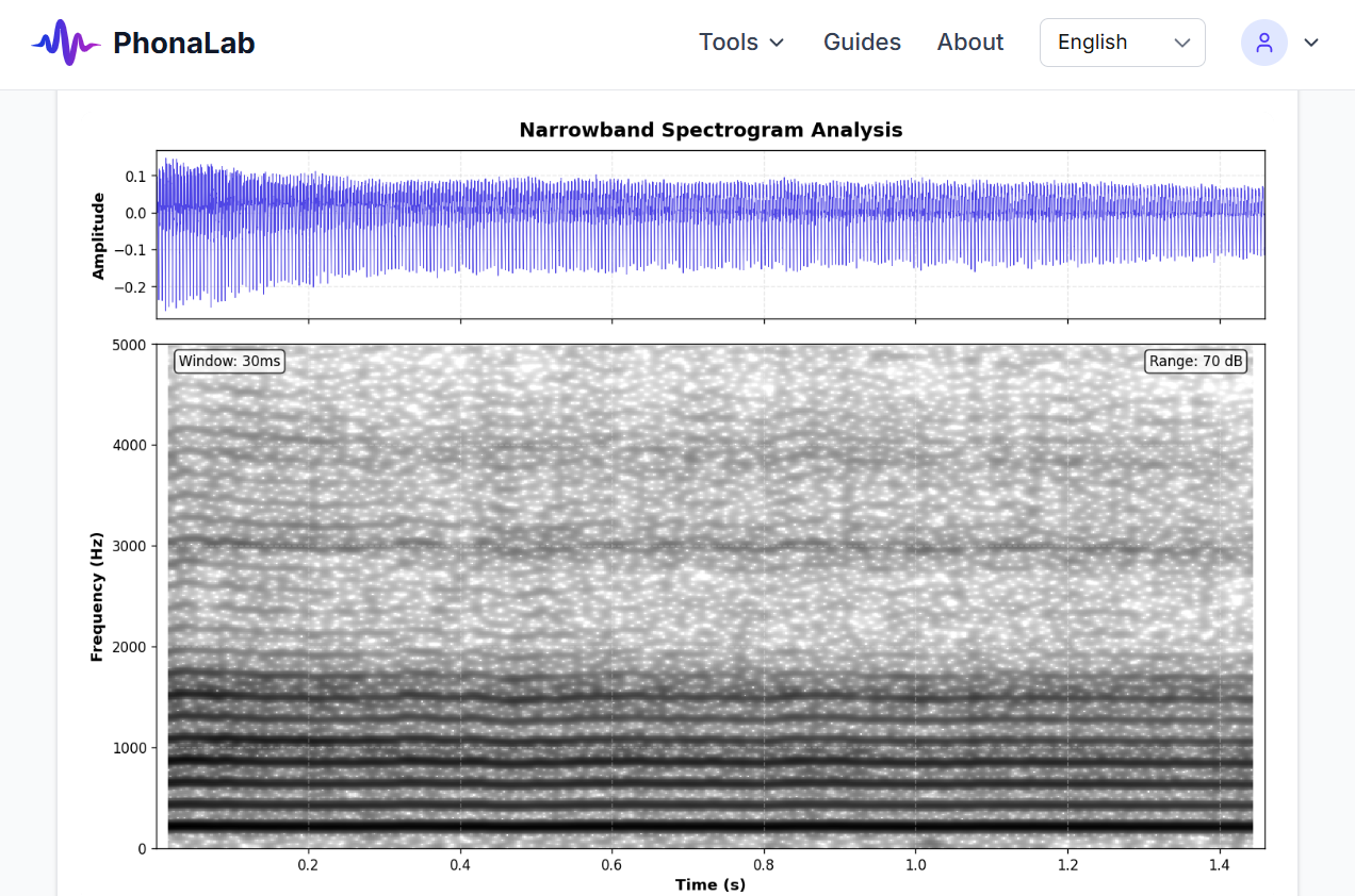 PhonaLab gallery image