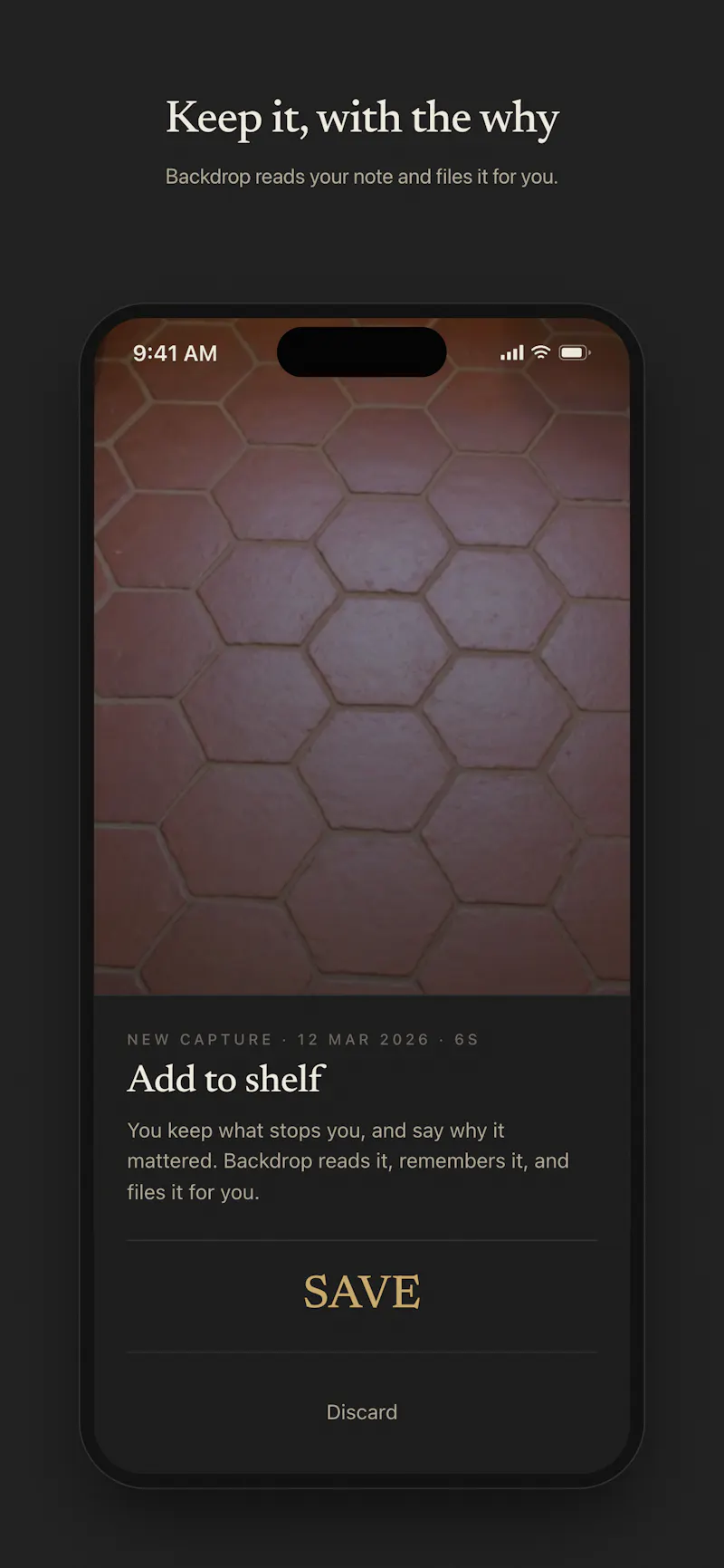 Backdrop: Visual Memory screenshot 3