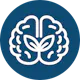 BrainSynex