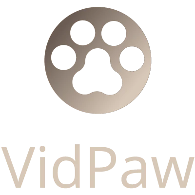 VidPaw YouTube to MP3 Converter