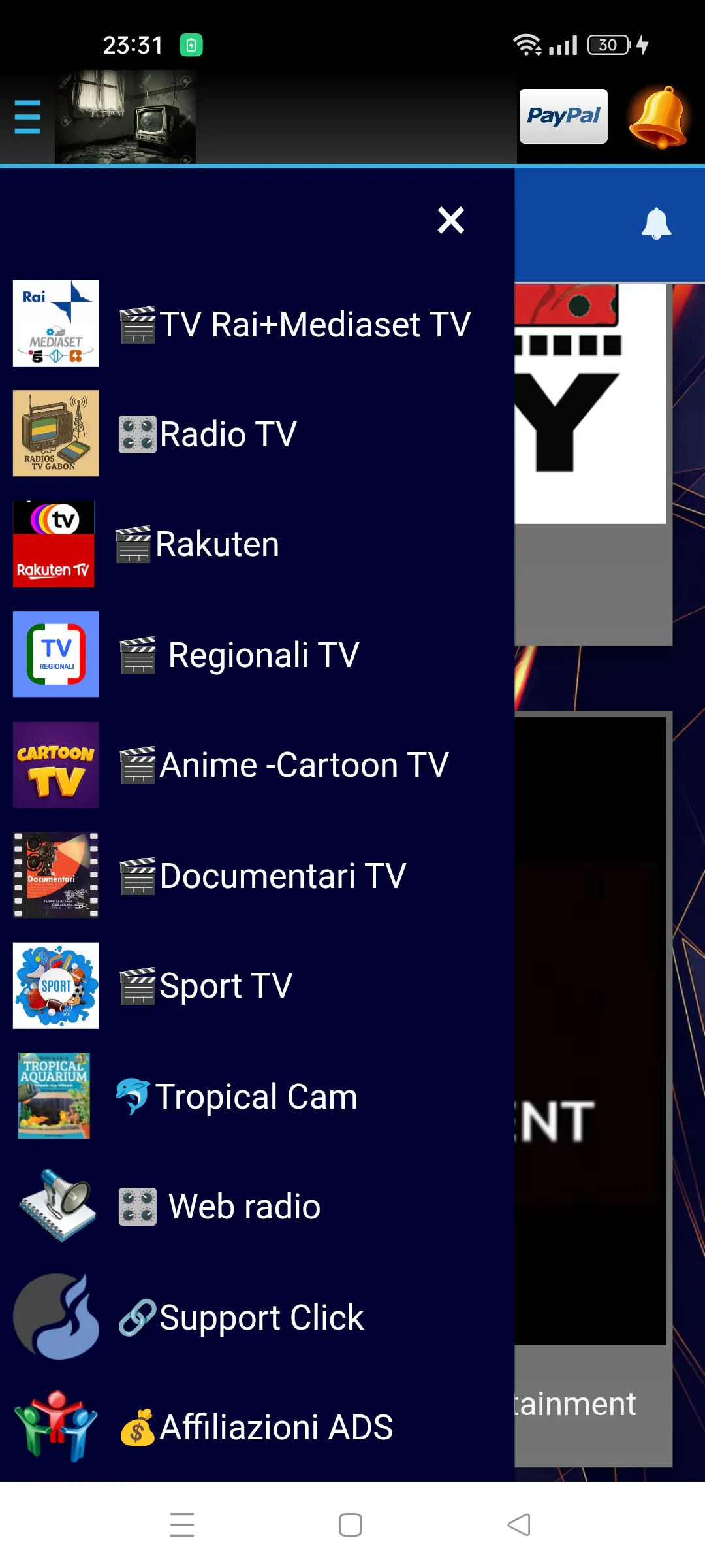 Web TV Italia gallery image