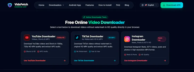 VidsFetch screenshot 1