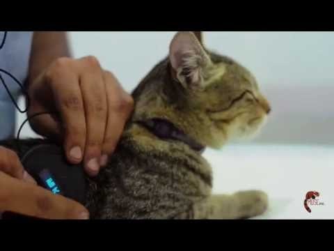 Taal -Digital Stethoscope gallery image