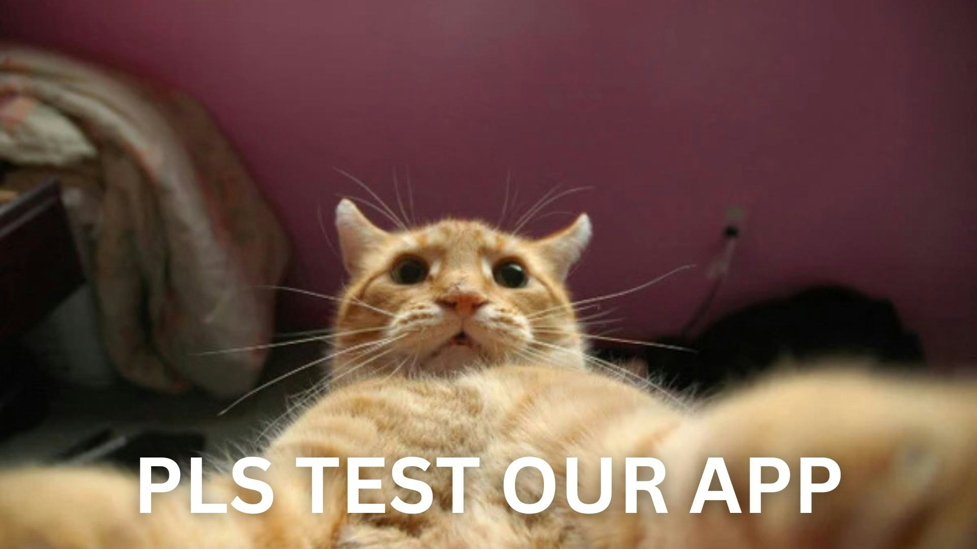 Escrowsai gallery image