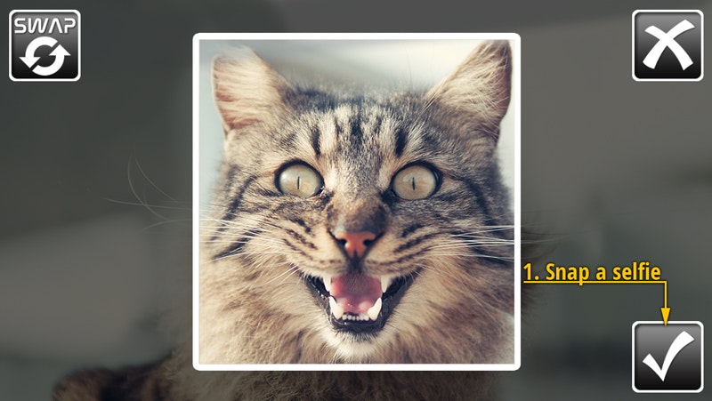 NASA Selfies gallery image