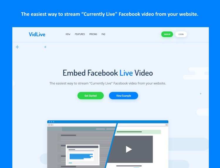 VidLive gallery image