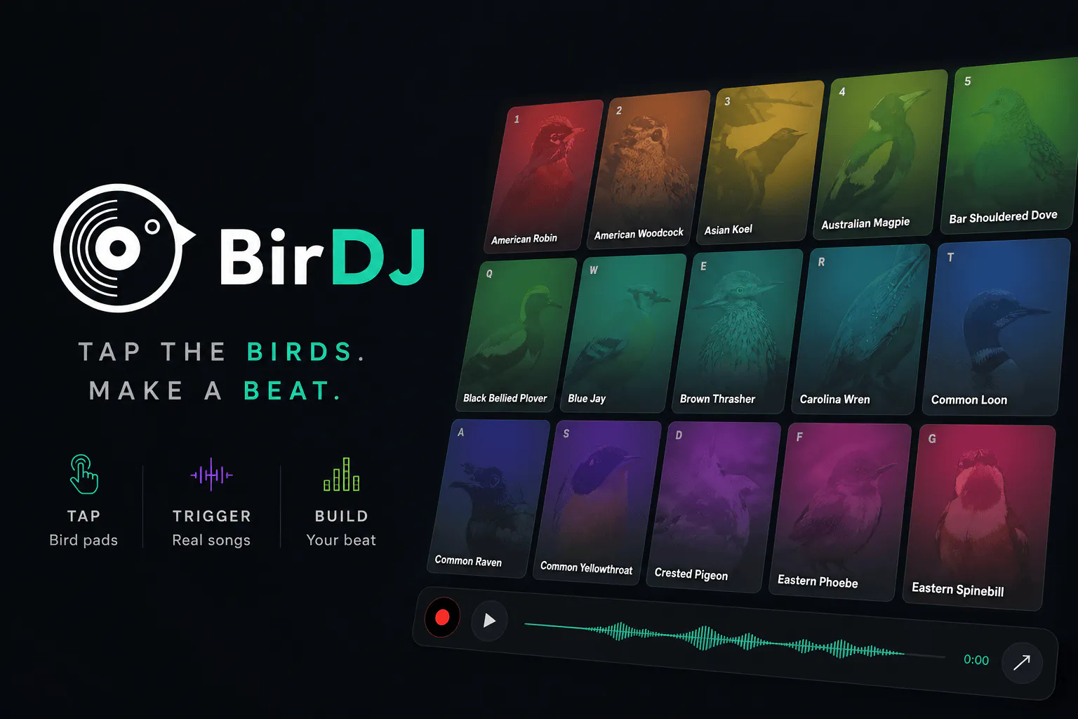 BirDJ gallery image