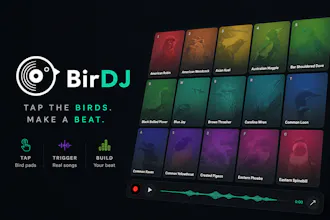 BirDJ gallery image