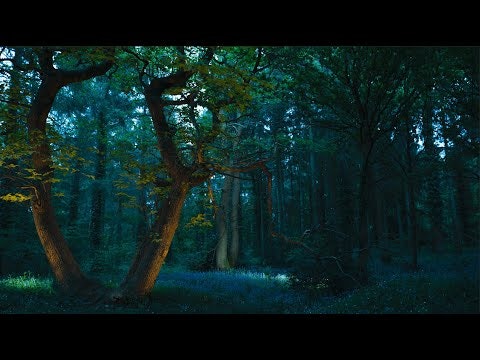 Wood Elf Wine gallery image