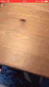ARKit-Emperor gallery image