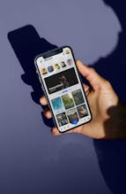 Project 1.1.1. gallery image