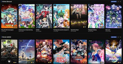 AniYolo gallery image