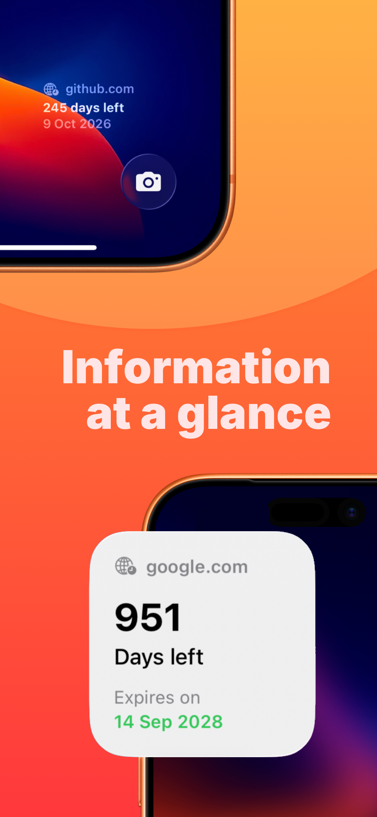 DomainLog - Domain Tracking gallery image