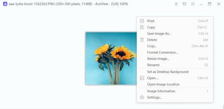 AceView gallery image