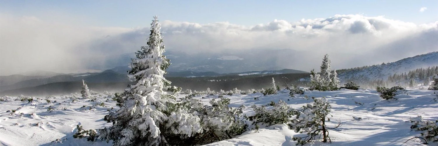 Jordan Kennedy cover