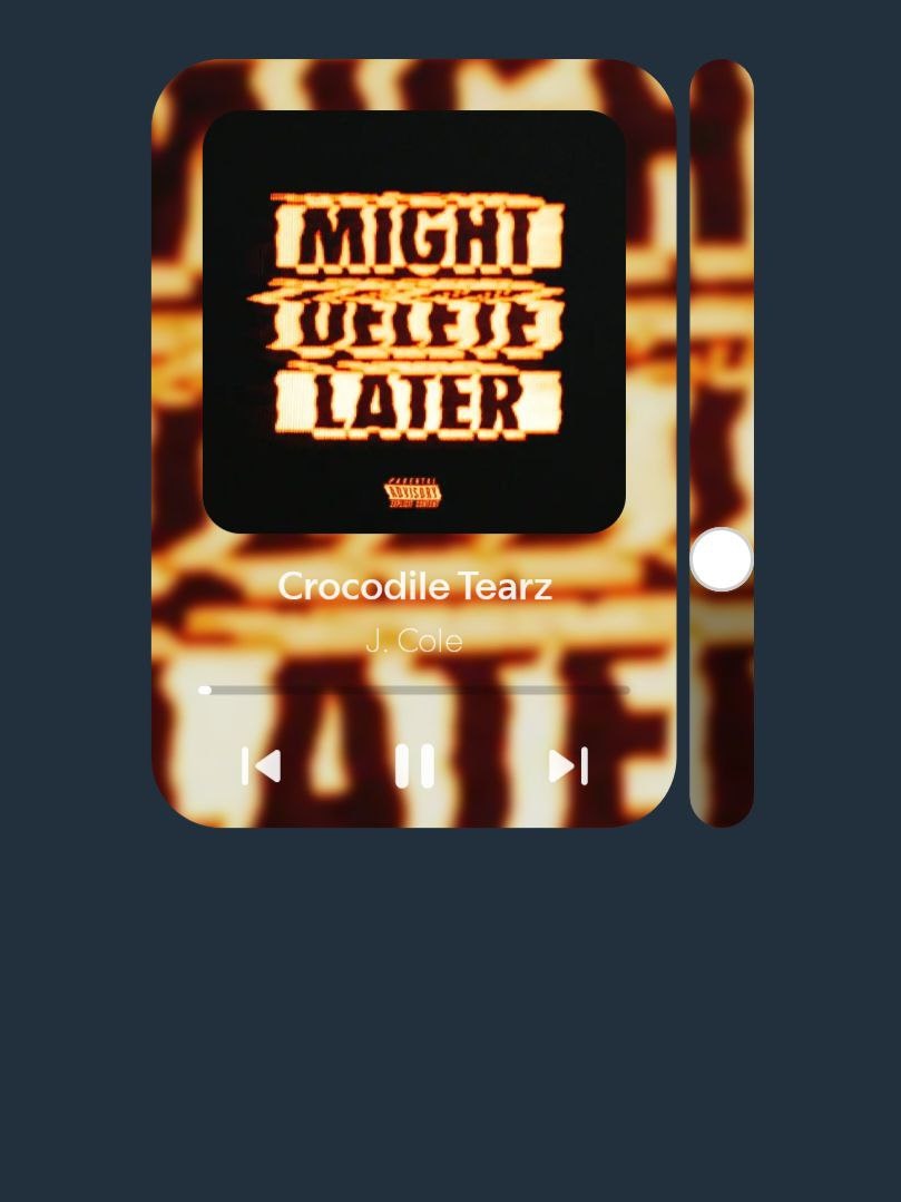 Spotifly gallery image