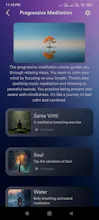 QuiteSage : Mental Harmony gallery image