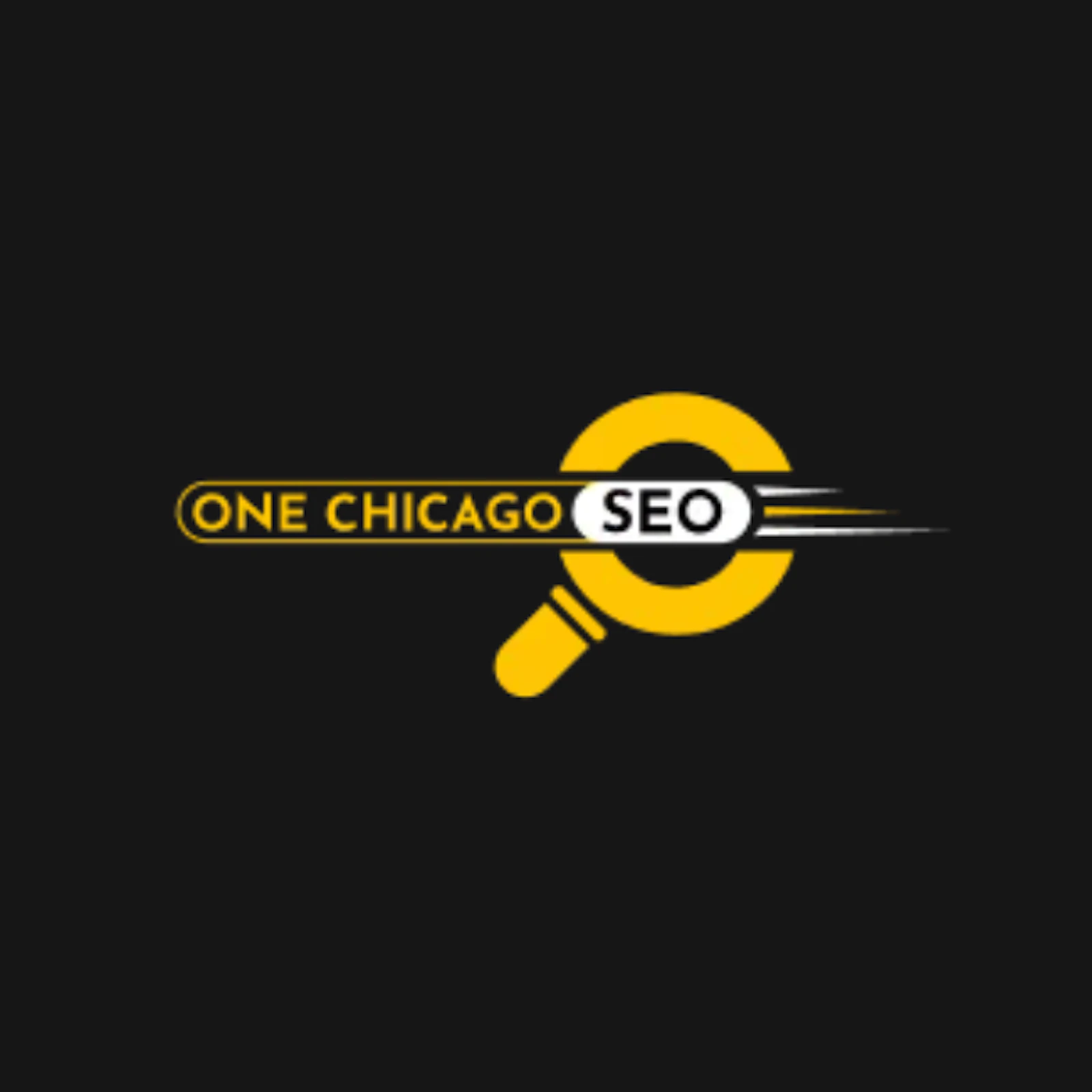 One Chicago SEO Company screenshot 1