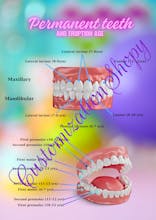 Book for Kids: Learning About Teeth gallery image