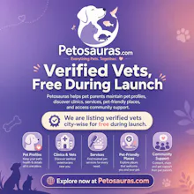 Petosauras gallery image