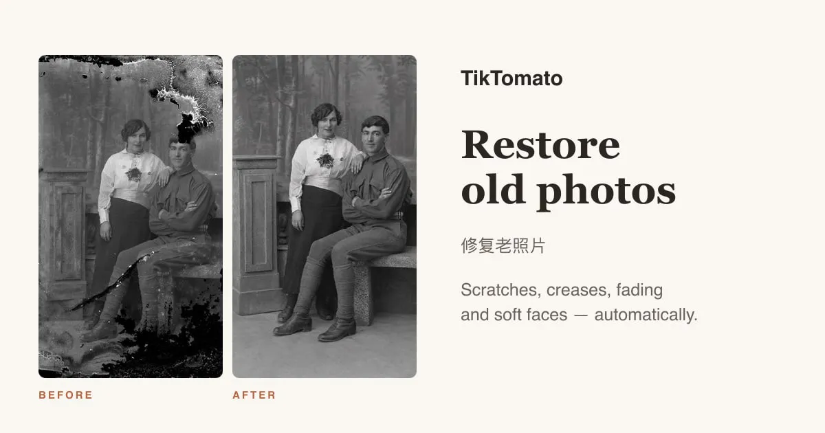 TikTomato gallery image