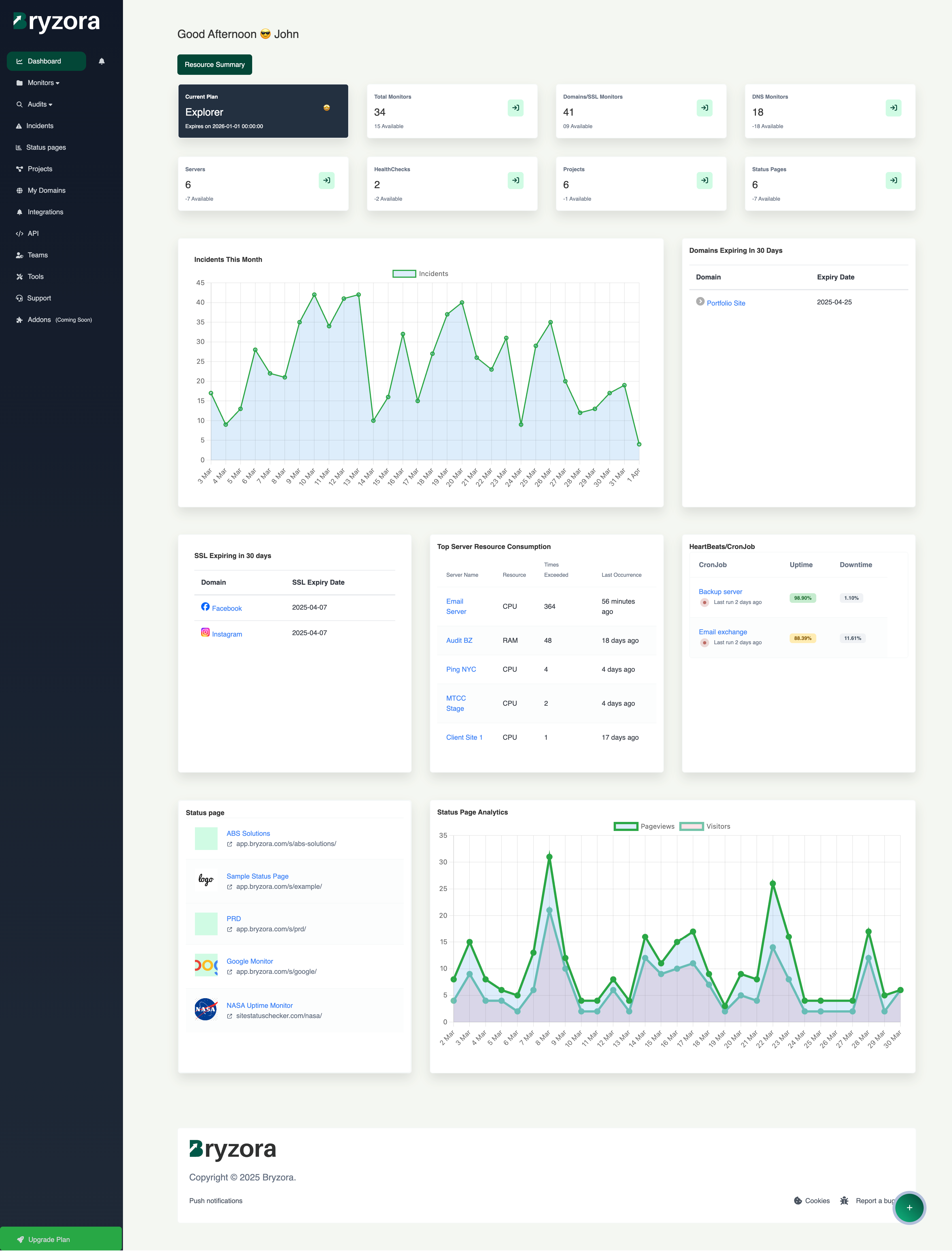 BryZora Uptime Monitoring Services media 2