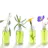 benefits of using essential oils.