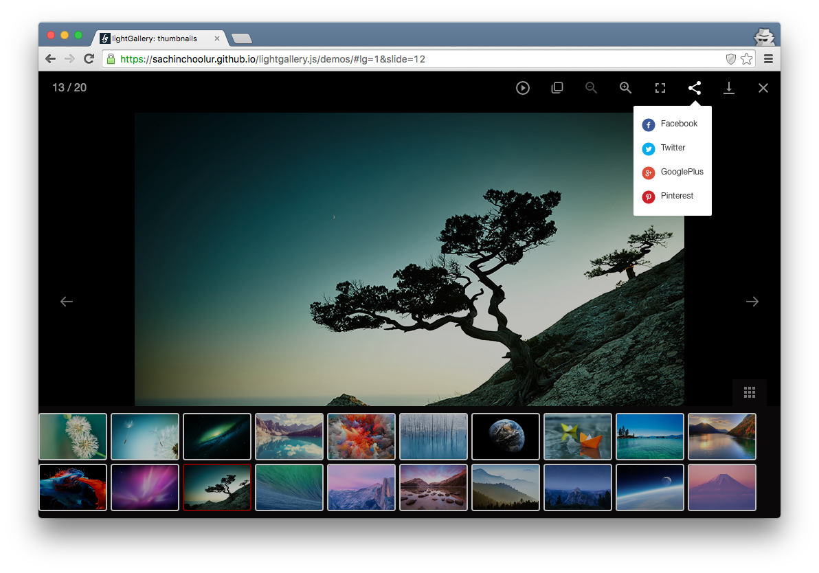 lightgallery.js gallery image