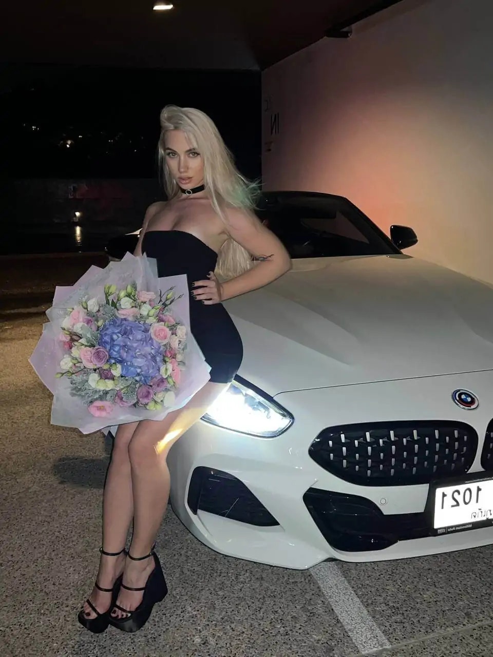 FanFlakes - Main product screenshot demonstrating key features and user interface