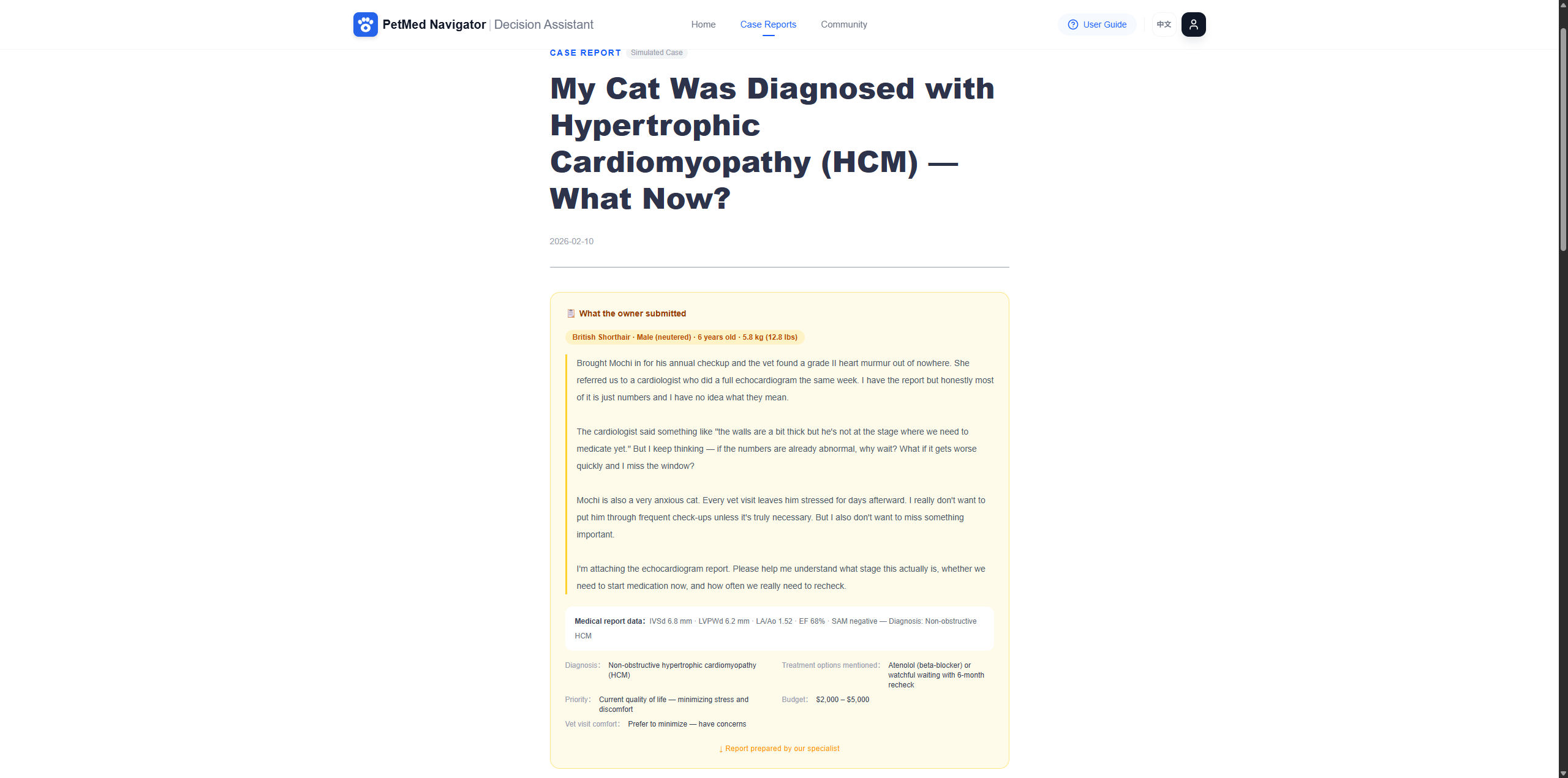 PetMed Navigator|Decision Assistant gallery image