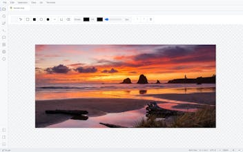 Ollie IDE gallery image