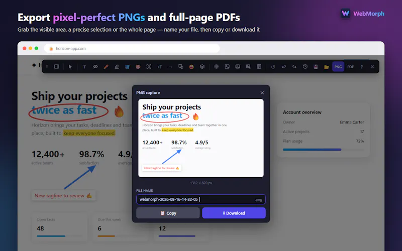 WebMorph screenshot 5