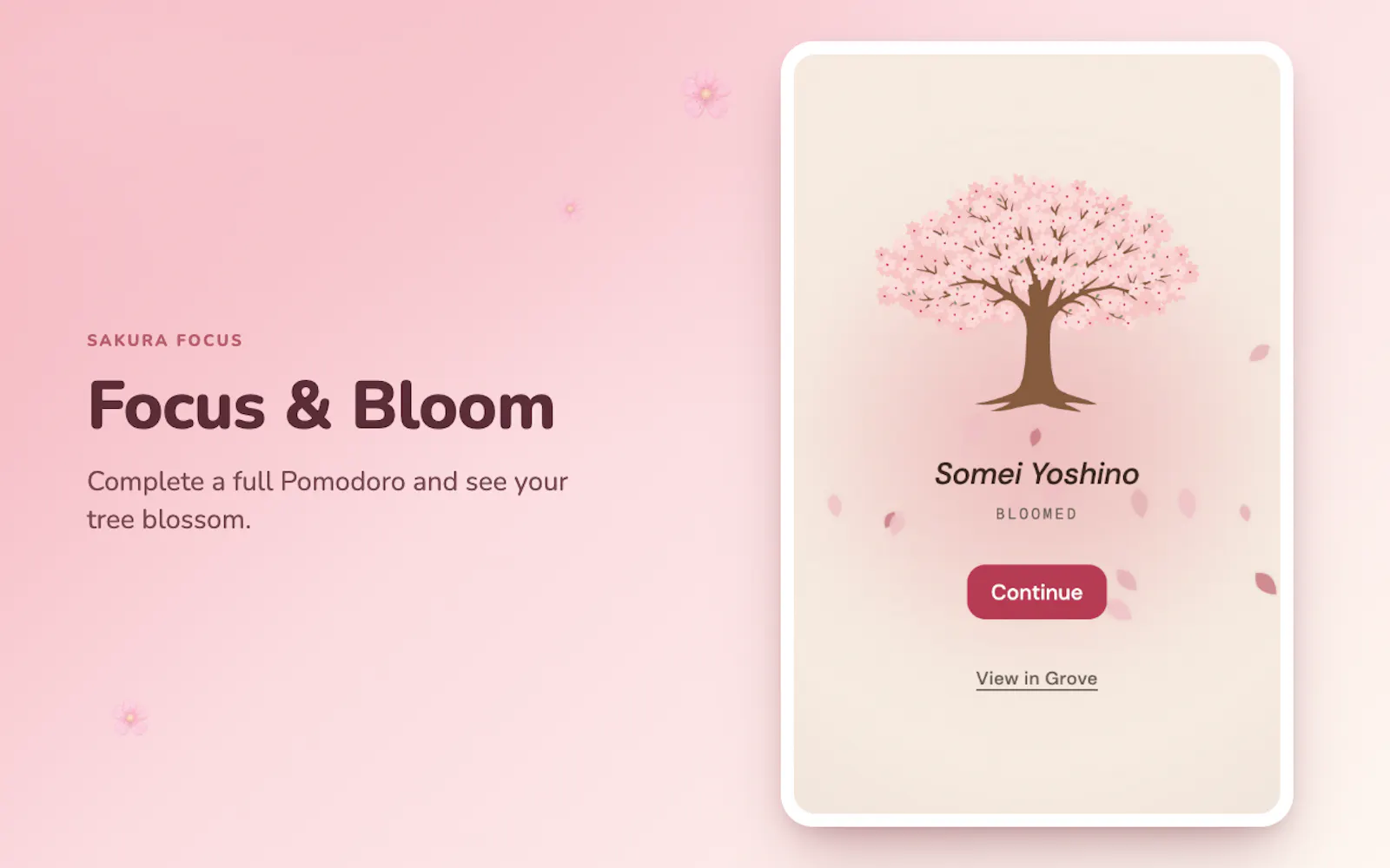 Sakura Focus screenshot 7