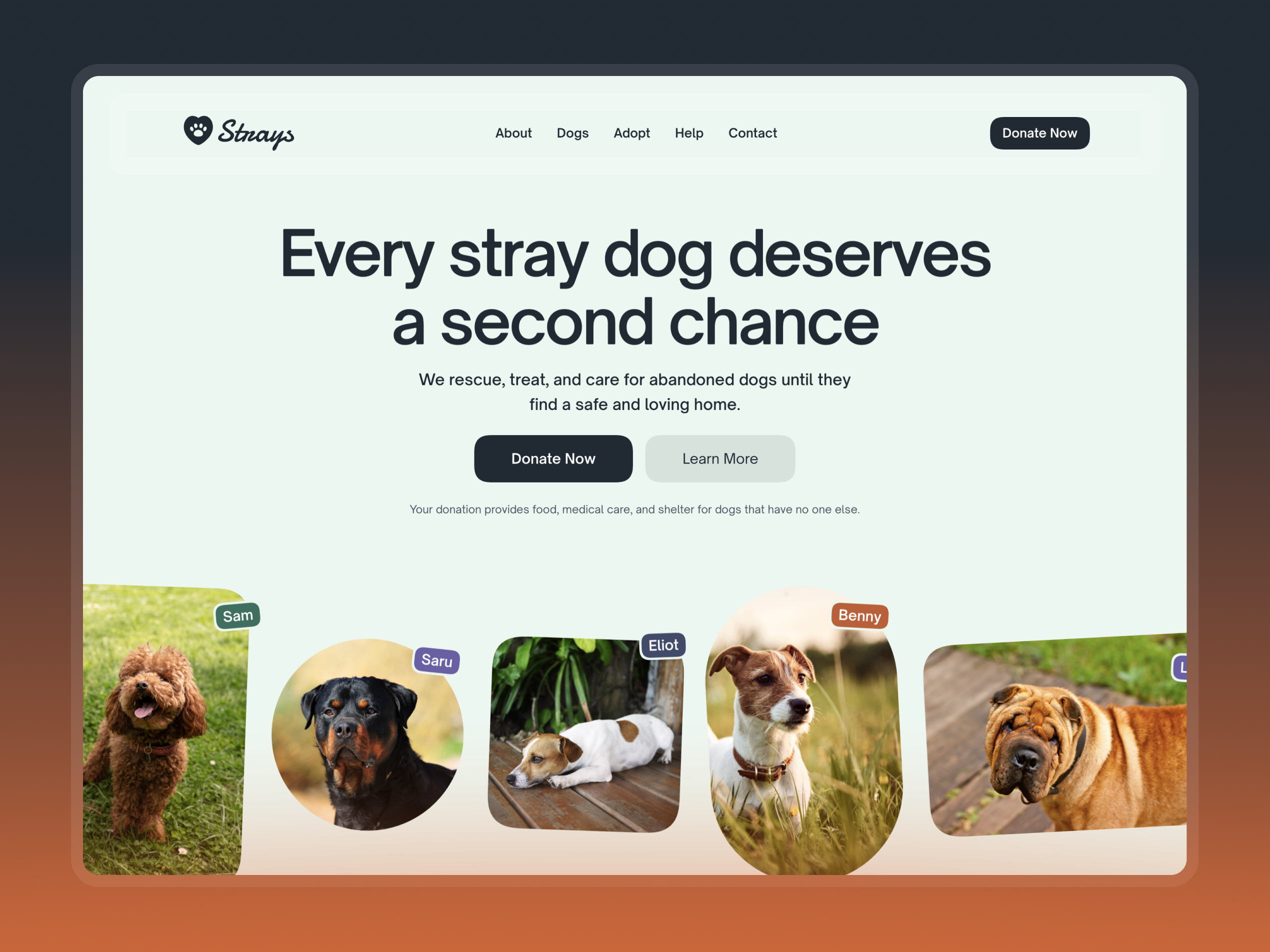 Free Framer Templates by Damir Cosic gallery image